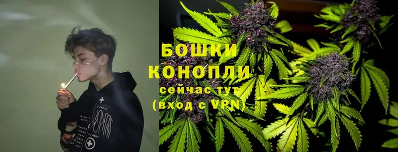 MEGA   купить закладку  Осташков  Бошки марихуана SATIVA & INDICA 